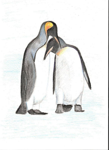 FREE! - Penguin Colouring Sheet | Parents Home Teaching Support